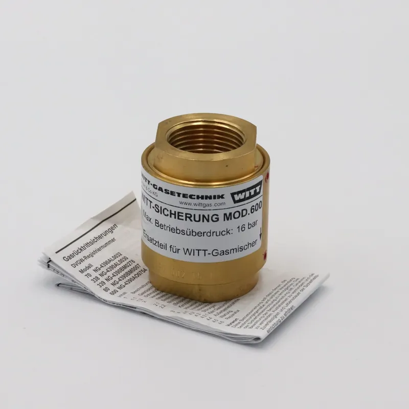 Bezpieczna płatność Witt Gasetechnik Zawór zwrotny gazu 600