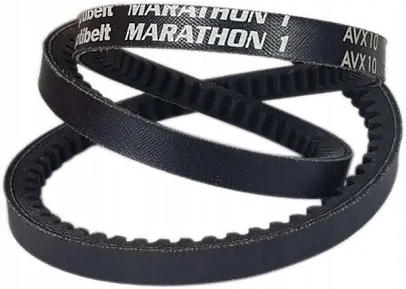 Pasek zębaty AVX 10x600 La Optibelt Oferta